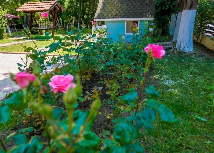 Casa Meyra 3* Jupiter